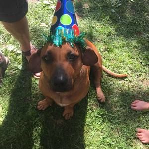 Meet your Posher, Hunter